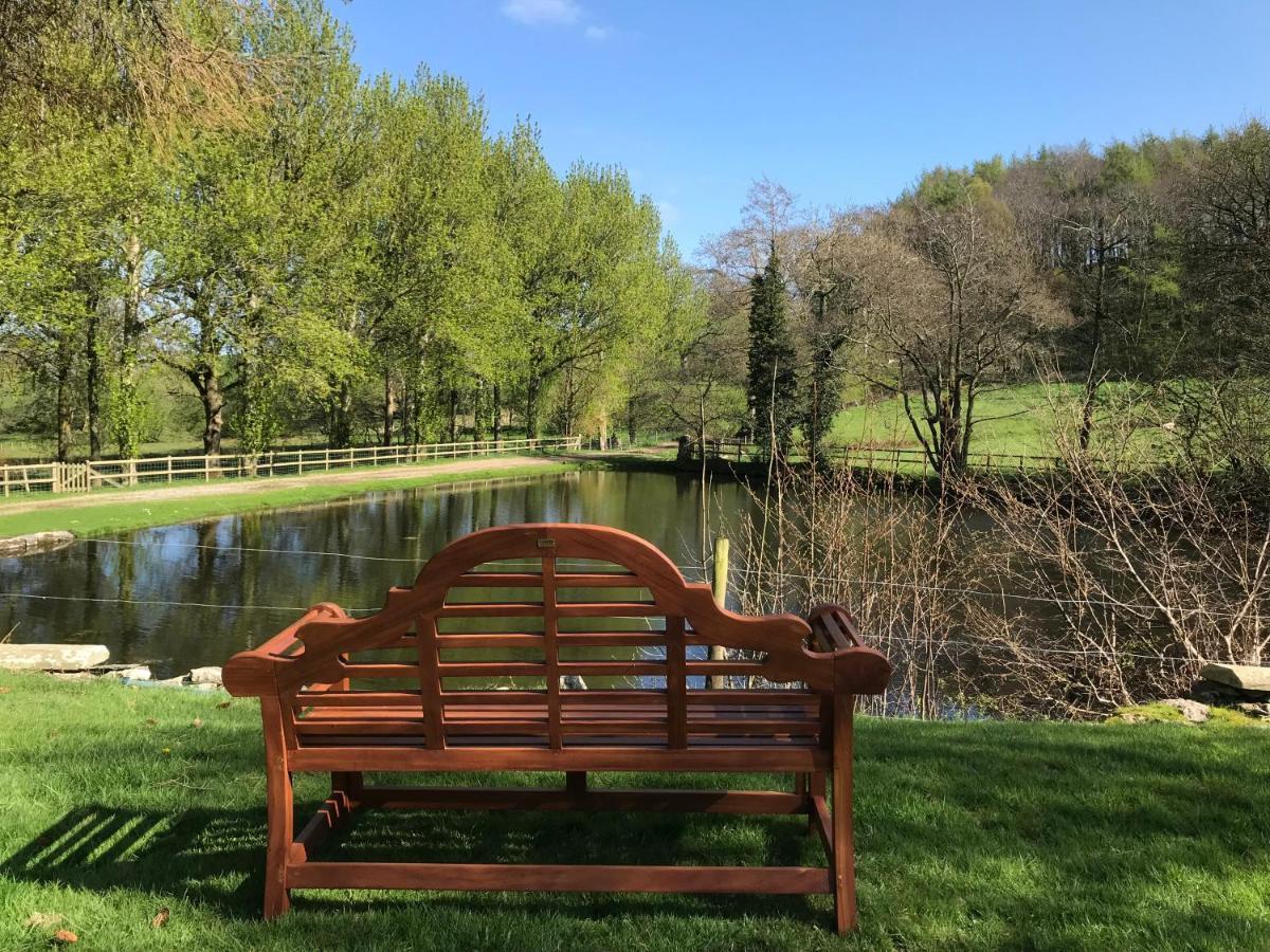 Penbedw Uchaf Estate - Rural Retreats, Tennis 몰드 외부 사진
