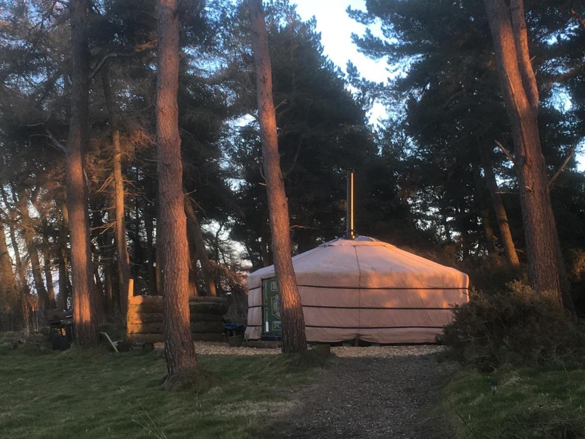 Penbedw Uchaf Estate - Rural Retreats, Tennis 몰드 외부 사진