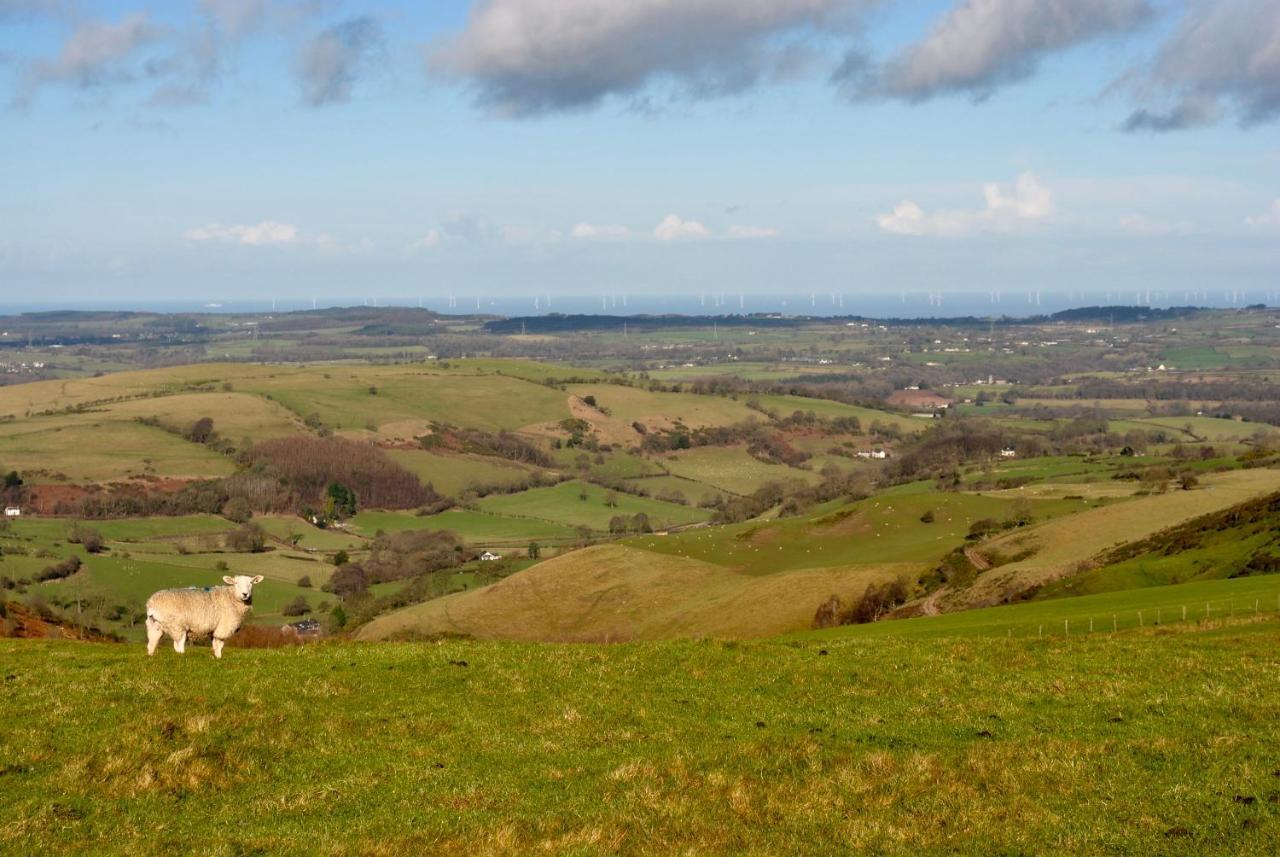 Penbedw Uchaf Estate - Rural Retreats, Tennis 몰드 외부 사진