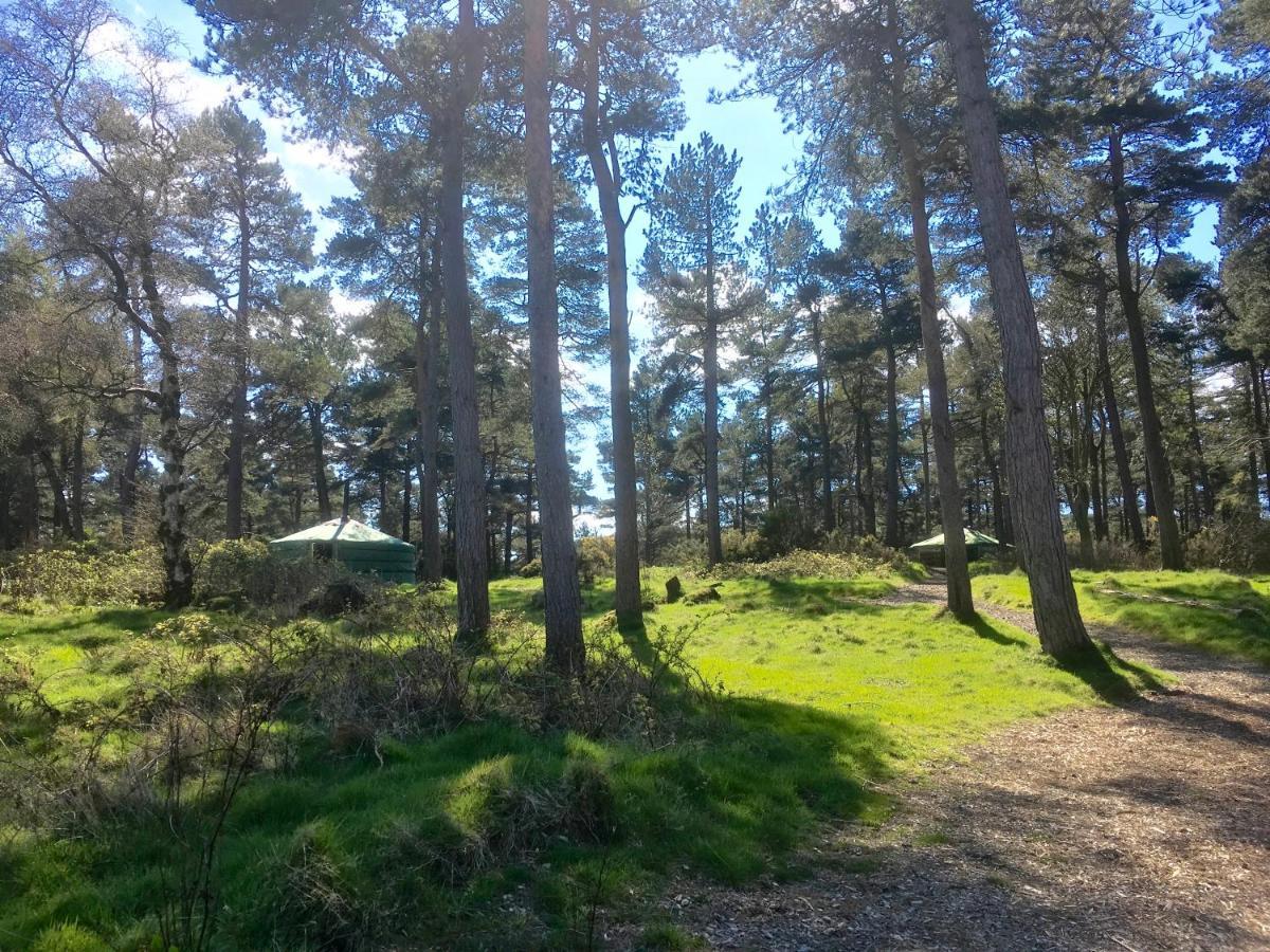 Penbedw Uchaf Estate - Rural Retreats, Tennis 몰드 외부 사진