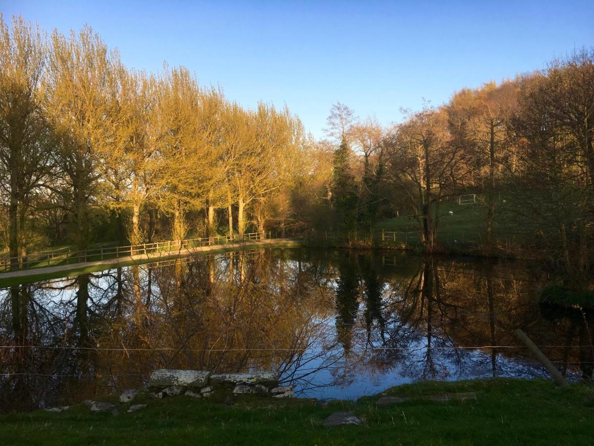 Penbedw Uchaf Estate - Rural Retreats, Tennis 몰드 외부 사진