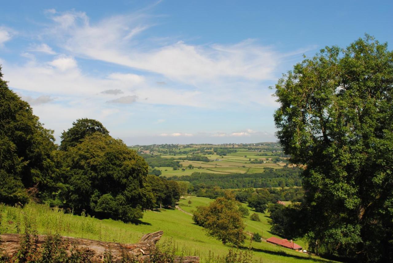 Penbedw Uchaf Estate - Rural Retreats, Tennis 몰드 외부 사진