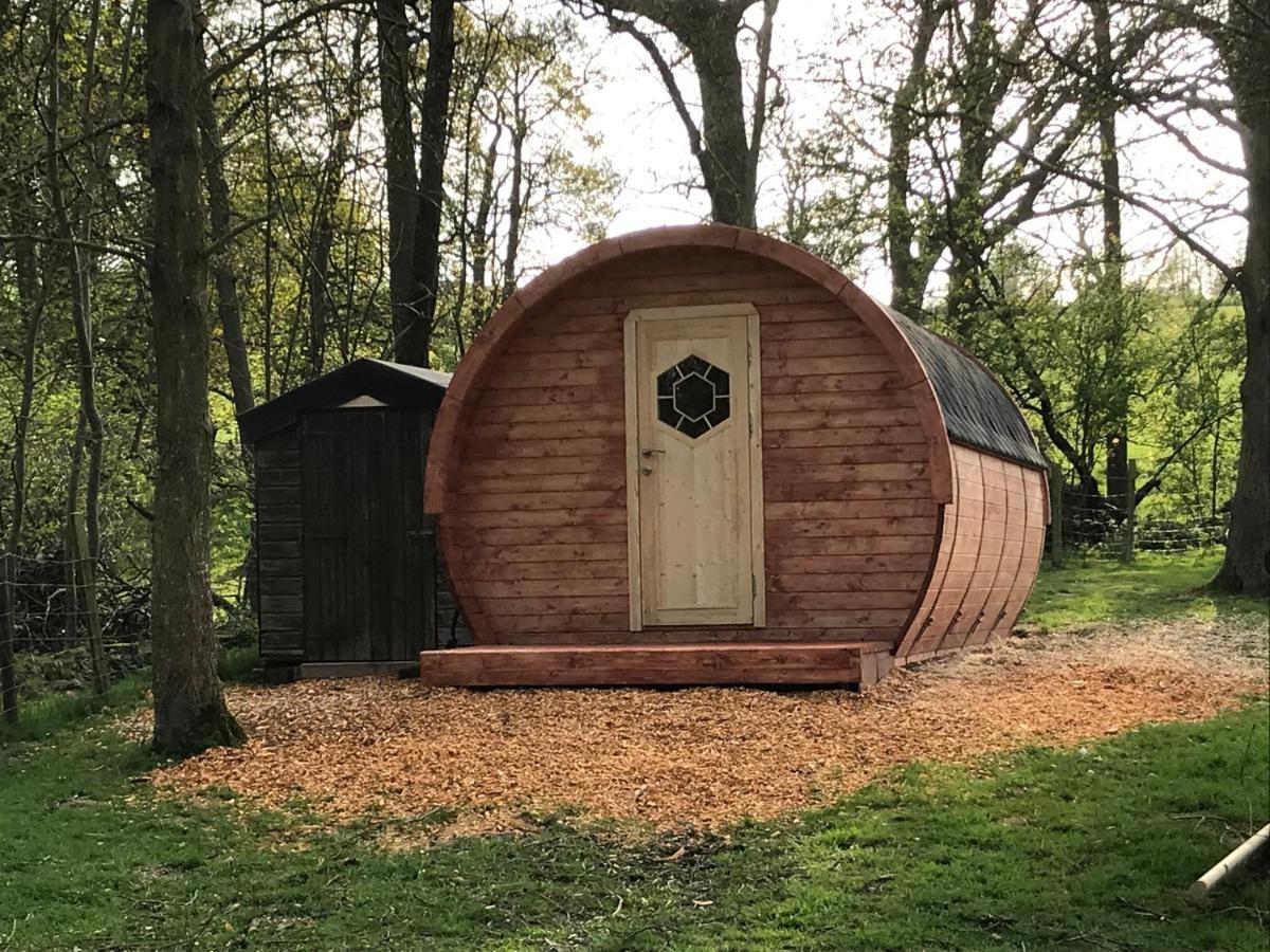 Penbedw Uchaf Estate - Rural Retreats, Tennis 몰드 외부 사진