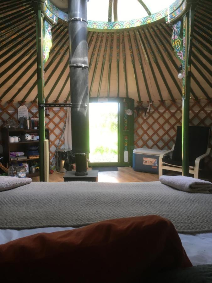 Penbedw Uchaf Estate - Rural Retreats, Tennis 몰드 외부 사진