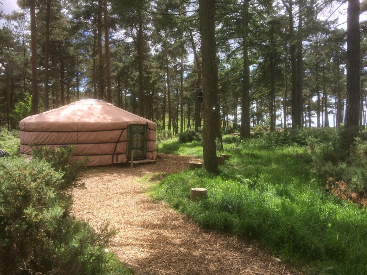 Penbedw Uchaf Estate - Rural Retreats, Tennis 몰드 외부 사진