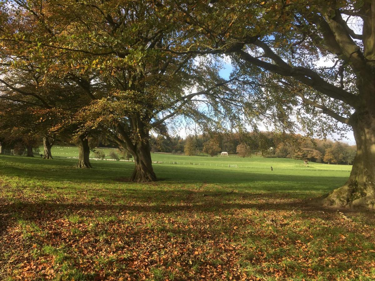 Penbedw Uchaf Estate - Rural Retreats, Tennis 몰드 외부 사진