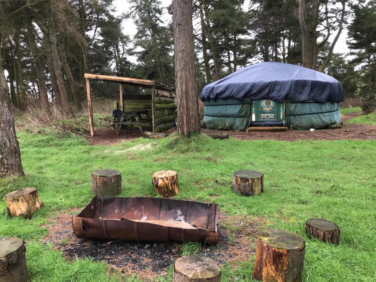 Penbedw Uchaf Estate - Rural Retreats, Tennis 몰드 외부 사진