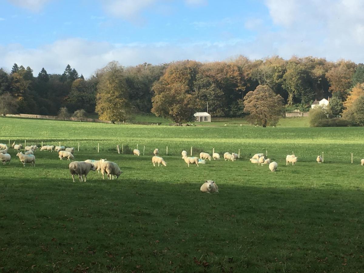 Penbedw Uchaf Estate - Rural Retreats, Tennis 몰드 외부 사진
