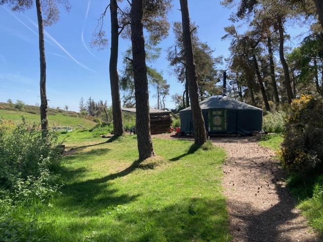 Penbedw Uchaf Estate - Rural Retreats, Tennis 몰드 외부 사진